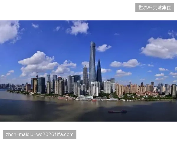 硬件重复建设审查池揭露了地方政绩工程的巨大浪费