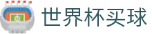 FIFA2026世界杯买球平台 - 官网登录入口与注册通道